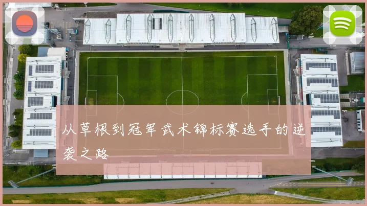 从草根到冠军武术锦标赛选手的逆袭之路