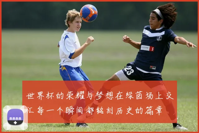 世界杯的荣耀与梦想在绿茵场上交汇每一个瞬间都铭刻历史的篇章