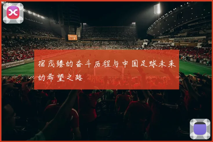 宿茂臻的奋斗历程与中国足球未来的希望之路