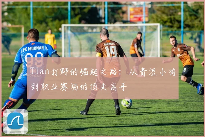 Tian打野的崛起之路：从青涩小将到职业赛场的顶尖高手