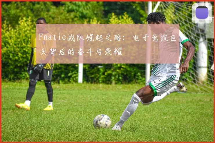 Fnatic战队崛起之路：电子竞技巨头背后的奋斗与荣耀