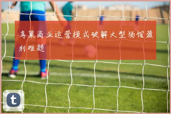 鸟巢商业运营模式破解大型场馆盈利难题