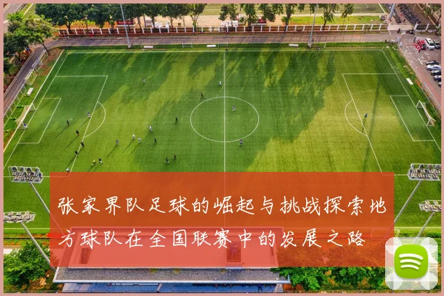 张家界队足球的崛起与挑战探索地方球队在全国联赛中的发展之路