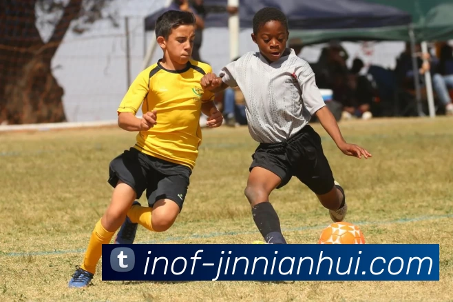 金年会APP 封面图